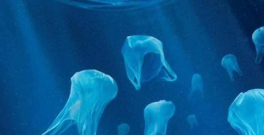 bolsas-plastico-farmacia