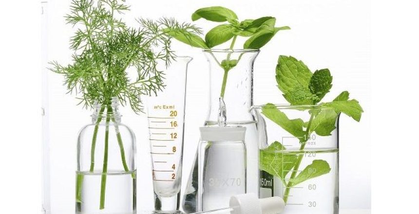 plantas-medicinales-farmacia
